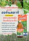 ฮอร์นสตาร์