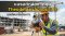 แบรนด์กล้องวัดมุม Theodolite เลือกอย่างไร บทเรียนจากงานจริง