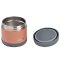 กระปุกเก็บอาหารสแตนเลส Stainless Steel Isothermal Portion 500 ml (Mineral / Terracotta)