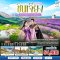 ทัวร์จีน ทัวร์จีนราคาถูก ทัวร์จีนไม่เข้าร้าน ทัวร์จีน