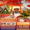 ทัวร์ญี่ปุ่น Autumn Golden route TOKYO OSAKA KYOTO SHIRAKAWAGO 6 วัน 4 คืน