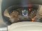 NISSAN NP300 NAVARA KINGCAB 2.5 E 2019