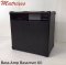 Bassman60