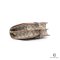 GUCCI GG RETRO SHOULDER BAG 20CM BEIGE GG MONOGRAM GHW