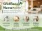 Wellness Home เทรนด์บ้านเพื่อสุขภาพ ตอบโจทย์การใช้ชีวิตยุคใหม่