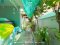 บ้านเดี่ยว บ้านรุ่งอรุณ (ขนาด 53 ตร.ว.) วัดส้มเกลี้ยง บางกรวย ซอยอัจฉริยะพัฒนา2 : Baan Rungaroon