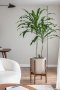 room interior plant pot with wood stand