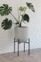 monstera in grey pot with metal stand