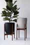 fiddle leaf fig in black and grey plant pot with wood stand