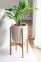 monstera  in beige plant pot with wood stand