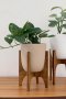 houseplant in beige pot with wood stand mid century style