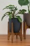 houseplant in black pot with wood stand mid century style