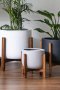 minimal lightweight plant pot with wood stand