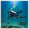 เครื่องตรวจจับโลหะ ใต้น้ำ Fisher 1280-X Underwater Metal Detector