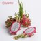 Dragon Fruit