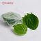 Wild Betel