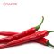 Chilli (Hot red)