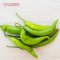Chilli (Long green)