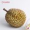 Durian (Mon Thong)