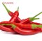 Chilli (Long Red)