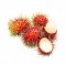 Rambutan