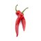 Chilli (Long Red)