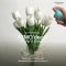 PURIFY SPRAY : Make your flowers shine for longer