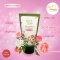 Tearose Lotion Sweet passion สูตรกุหลาบและชาขาว