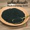 เมล็ดเทียนดำ เมล็ดยี่หร่าดำ Black Caraway Seeds Black Cumin Seeds ฮับบะตุซเซาดาอ์ เทียนดำ เม็ดเทียนดำ