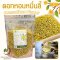 ดอกหอมหมื่นลี้ 25 50 100 กรัม กลิ่นหอมมากสีเหลืองทองสวย Gui Hua Osmanthus Flower Tea ชาดอกหอมหมื่นลี้ ชาดอกไม้ 桂花茶