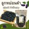 ลูกหม่อนดำ 250 500 กรัม มัลเบอร์รี่อบแห้ง ลูกหม่อนอบแห้ง Dried Black Mulberry Hei Sang Shen Gan 黑桑葚干 ชาลูกหม่อนดำ