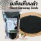 เมล็ดเทียนดำ เมล็ดยี่หร่าดำ Black Caraway Seeds Black Cumin Seeds ฮับบะตุซเซาดาอ์ เทียนดำ เม็ดเทียนดำ