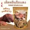 เห็ดหลินจือแดง สายพันธุ์ G2 อบแห้ง เกรด A คัดชิ้นสวย 90 กรัม Ling Zhi Ganoderma 灵芝 หลิงจือ Reishi Mushroom เห็ดเรอิชิ