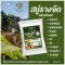 สบู่รางจืด สบู่สมุนไพร สำหรับ ผิวหนัง ผื่น คัน เหงื่อ กลาก พญายอ ทองพันชั่ง เบญจภิรมย์ Laurel Clock Vine Herbal Soap