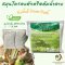 สมุนไพรอบตัว ต้มอาบ พรมจันทร์ 1 ถุง มี ถุงผ้าละ 100 กรัม 2 ถุง Herbal Steam Bath สมุนไพรไทย คุณแม่หลังคลอด ปวดเมื่อย