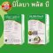 บิโลบาพลัสบี ใบแป๊ะก๊วยสกัด ผสมวิตามินบีรวม ขาวละออ 30 เม็ด Biloba Plus B ความจำ ปลายมือปลายเท้าชา Ginkgo Leaves