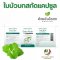 ใบบัวบกสกัด แคปซูล 100% Gotu Kola อ้วยอันโอสถ Herbal One สมุนไพร สมานแผล ลดบวม Centella asiatica Extract Capsule