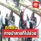 ​ทางม้าลายไม่ปลอดภัยเสมอไป​
