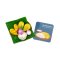 dawood_thaicuisinemagnet_mangostickyrice