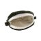 summerdream_bag_tako