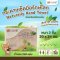 แพ็ก Kuma ทิชชู่ กระดาษเช็ดมือ รักษ์โลก หนา 2 ชั้น 250 แผ่น