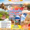 ทัวร์ตรุกี: Turkiye อนาโตเลีย 10 วัน 7 คืน (TK)