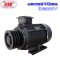 มอเตอร์ 10HP 380V