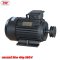 มอเตอร์ 3 kW/4 HP/RPM 2800/380V./ขดลวดทองแดงแท้