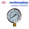 เกจวัดแรงดันลม 20 บาร์/300PSI