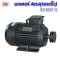 มอเตอร์ 3 kW/4 HP/RPM 2800/380V./ขดลวดทองแดงแท้