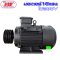 มอเตอร์ 15HP 380V