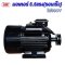 มอเตอร์ 4 kW/5.5 HP/RPM2800/380V./ขดลวดทองแดงแท้