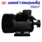 มอเตอร์รอบเร็ว 7.5HP 220V