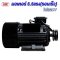 มอเตอร์ 4 kW/5.5 HP/RPM2800/ 220V. / ขดลวดทองแดงแท้